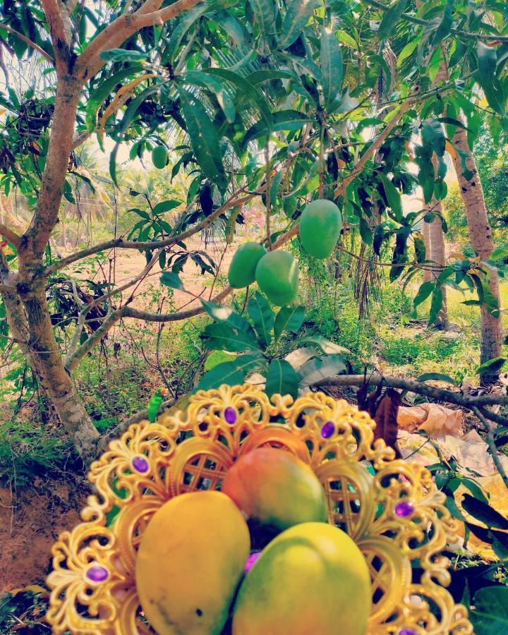 The Big Pineapple Estate Villa Udupi Dış mekan fotoğraf