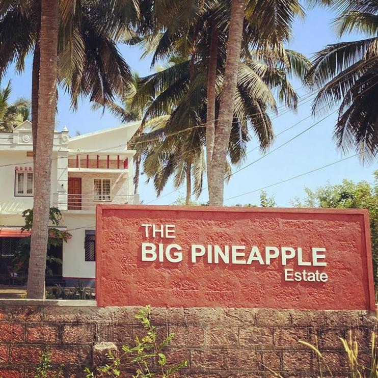 The Big Pineapple Estate Villa Udupi Dış mekan fotoğraf